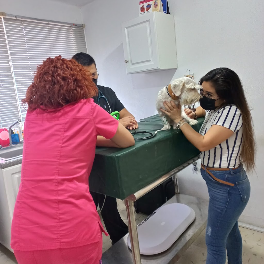 Casa Arena Hospital Veterinario — Del propietario