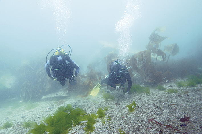 Centro de Buceo Hydronauta