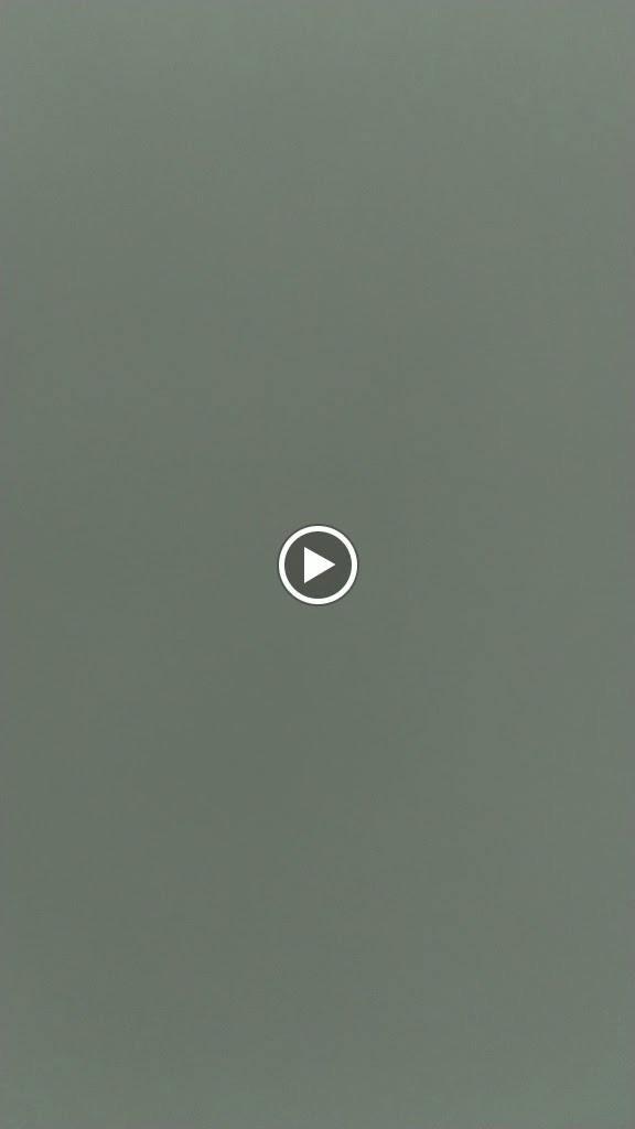 RESTAURANTE SABINO — Videos