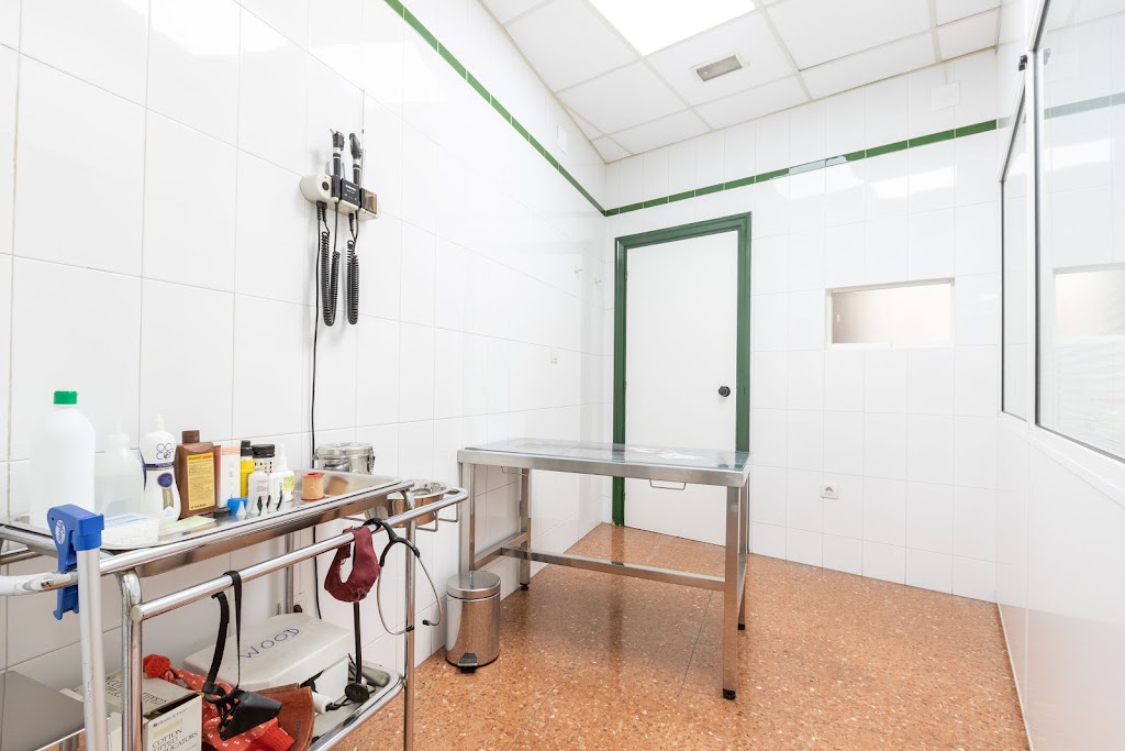 Hospital veterinario Elkano "Grupo Abereen Klinikak" — Del propietario