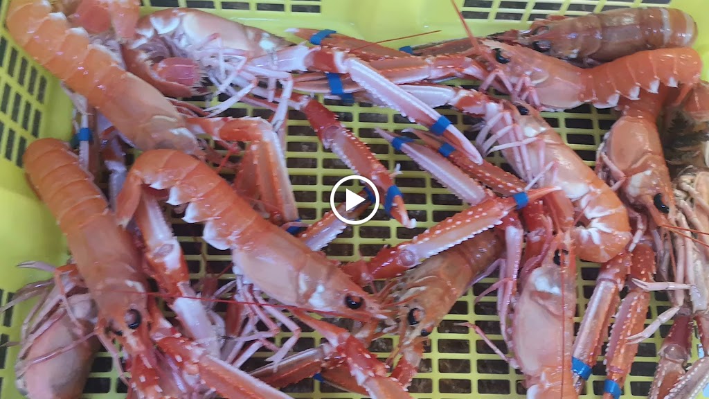 ARRIZABALAGA BASQUE COUNTRY — Videos