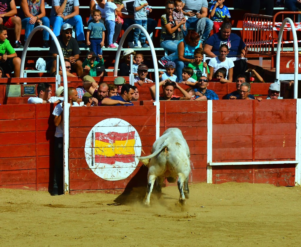 Plaza de Toros de Mejorada del Campo
