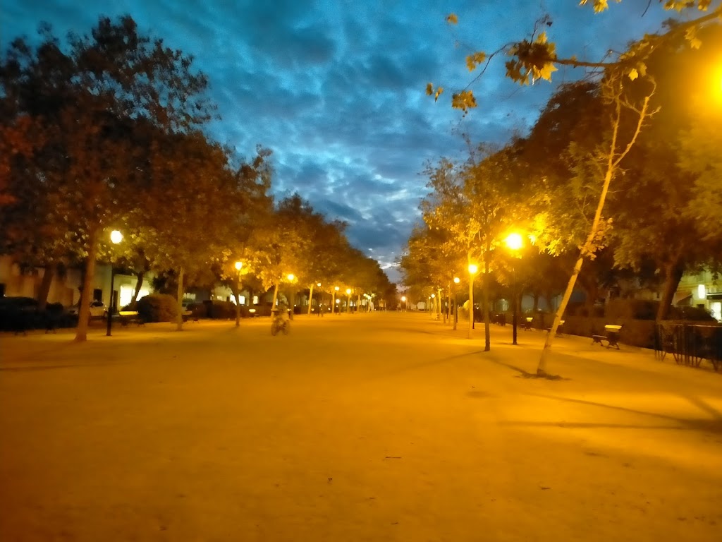 Alameda Virgen de Gracia
