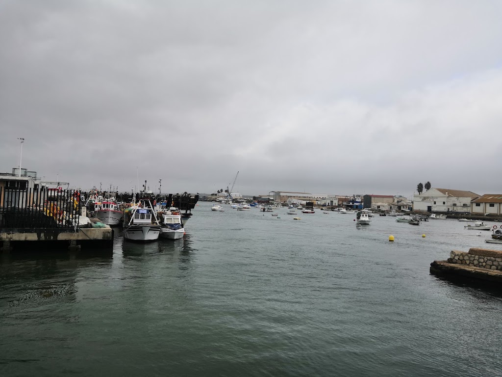 Puente Infanta Cristina