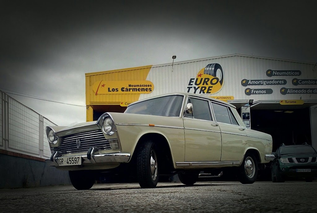 Neumaticos Los Carmenes SA