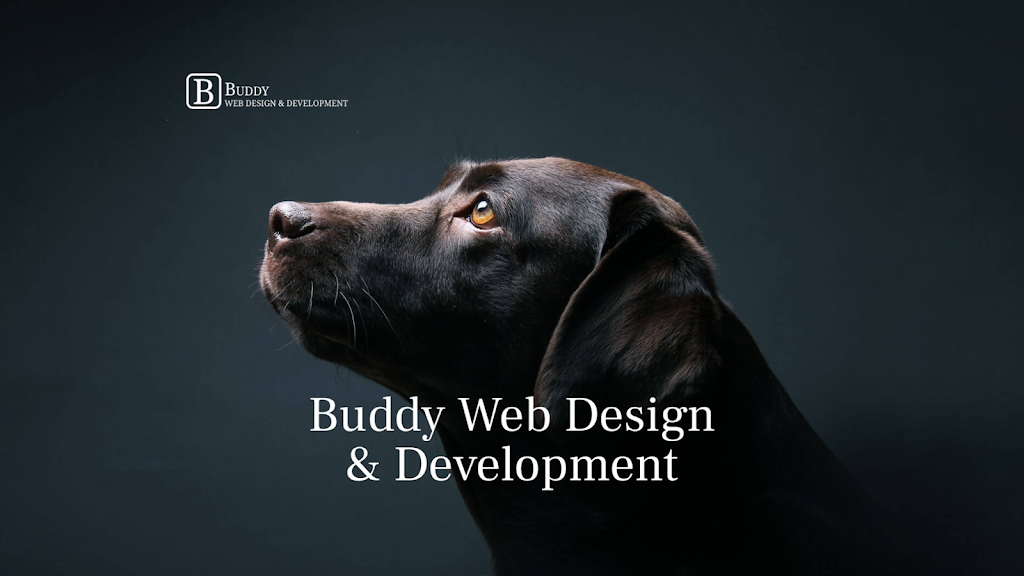 Buddy Web Design Development