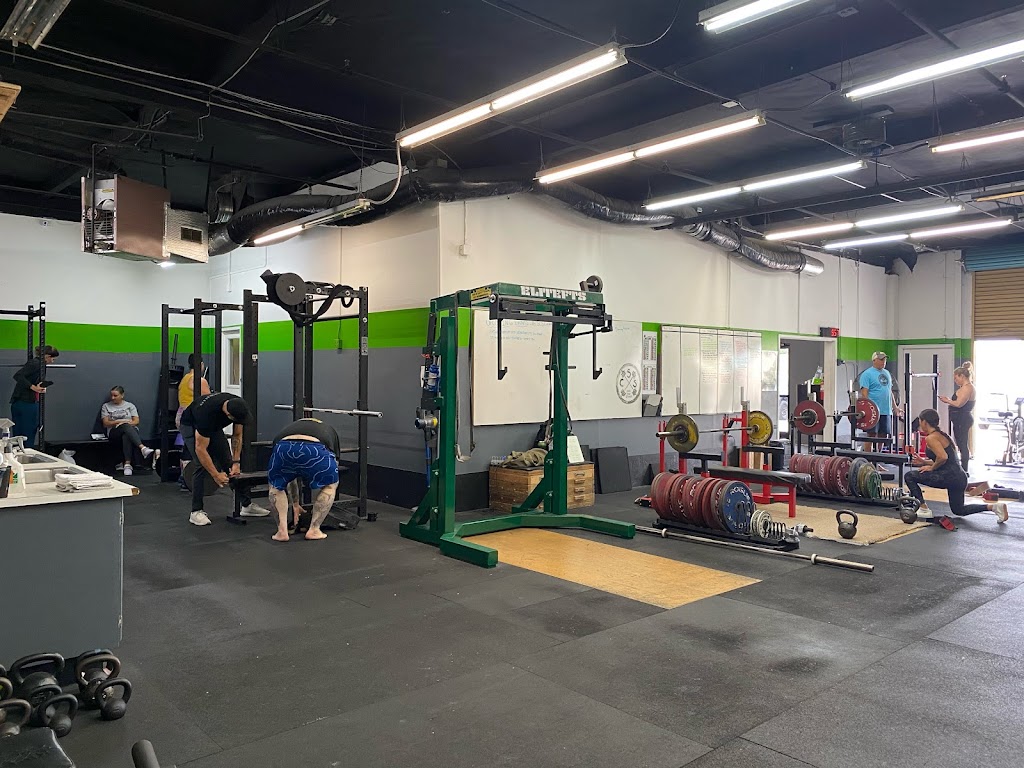  Nightmare Muscle Santa Cruz