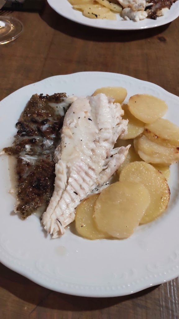 Catalina Gava Mar — Mas recientes