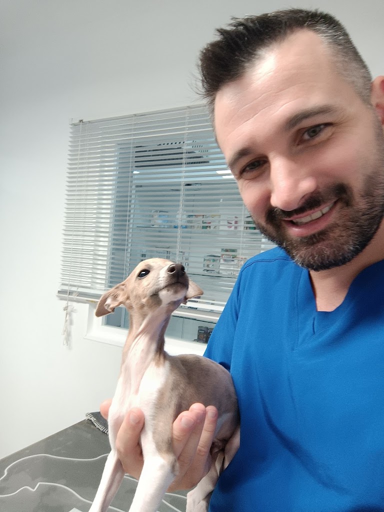 Centro Veterinario RAZAS — Del propietario