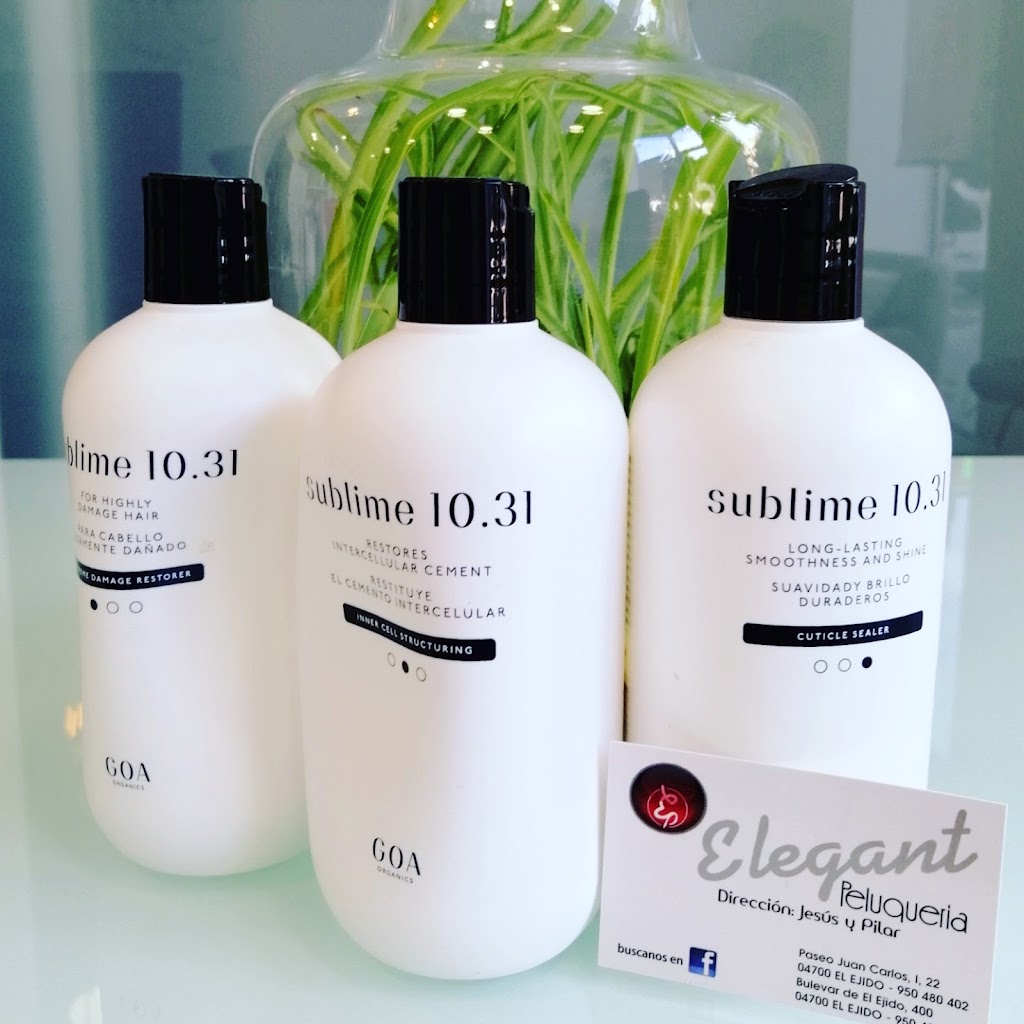 Elegant Peluqueria — Del propietario