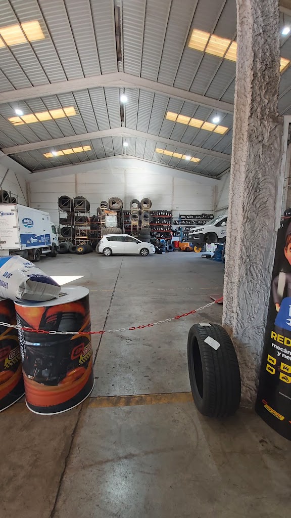 Parches y Ruedas S.L. CONFORTAUTO Arinaga — Interior