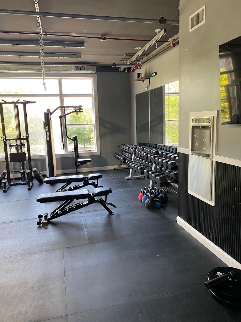  Definition of Fitness