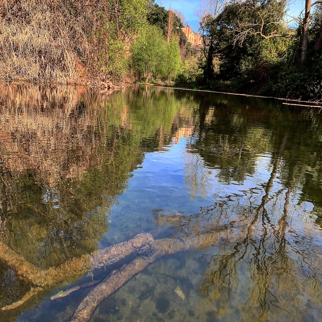 La Fuente de la Riera