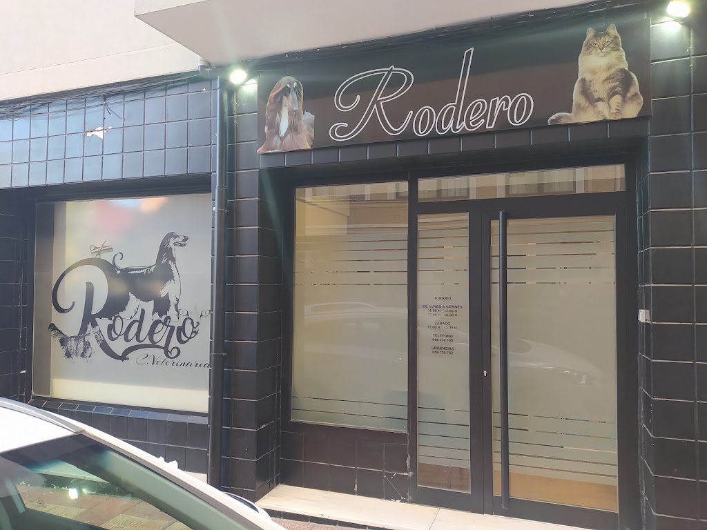 Centro Veterinario Rodero — Caballo