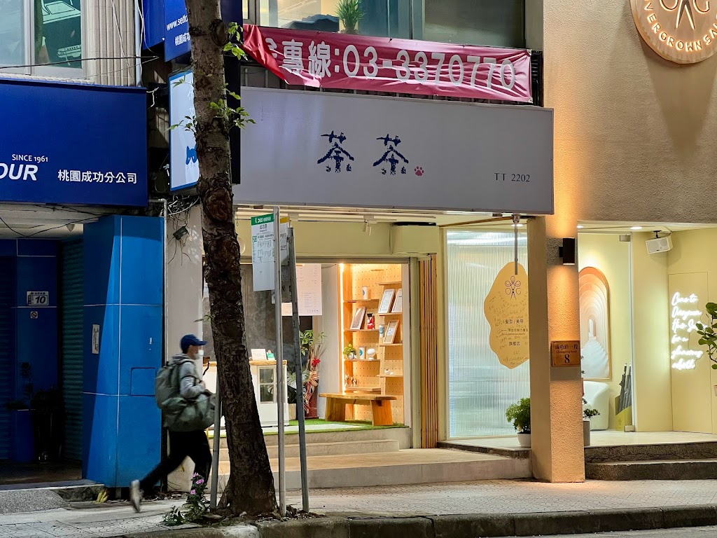 荼茶桃園成功直營店 的照片