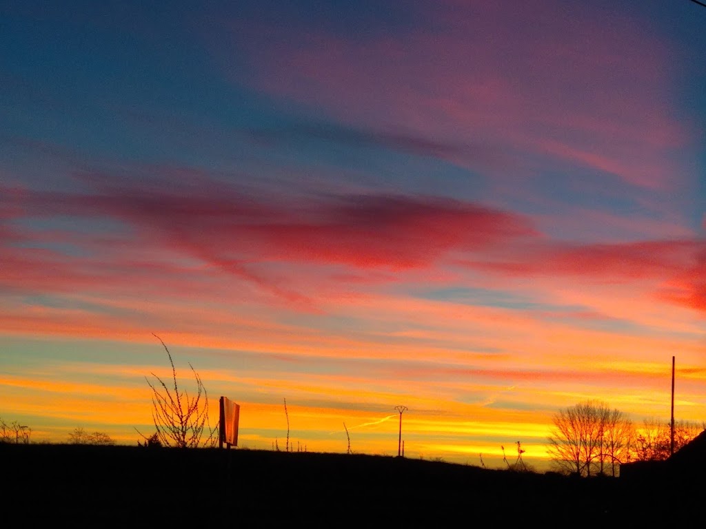 Angulo Articulos de Regalo