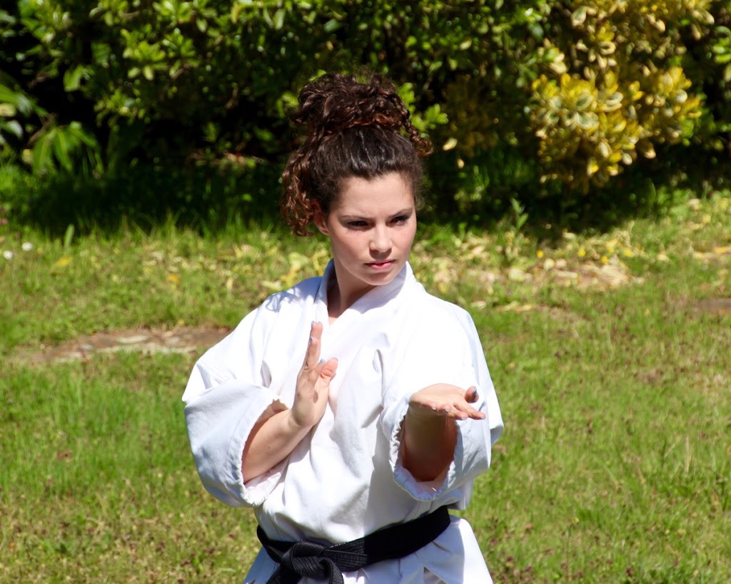 Escola Arts - Escola de Karate i Aikido — Del propietario