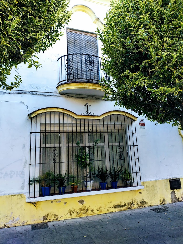 Casa palacio duque de Almodovar