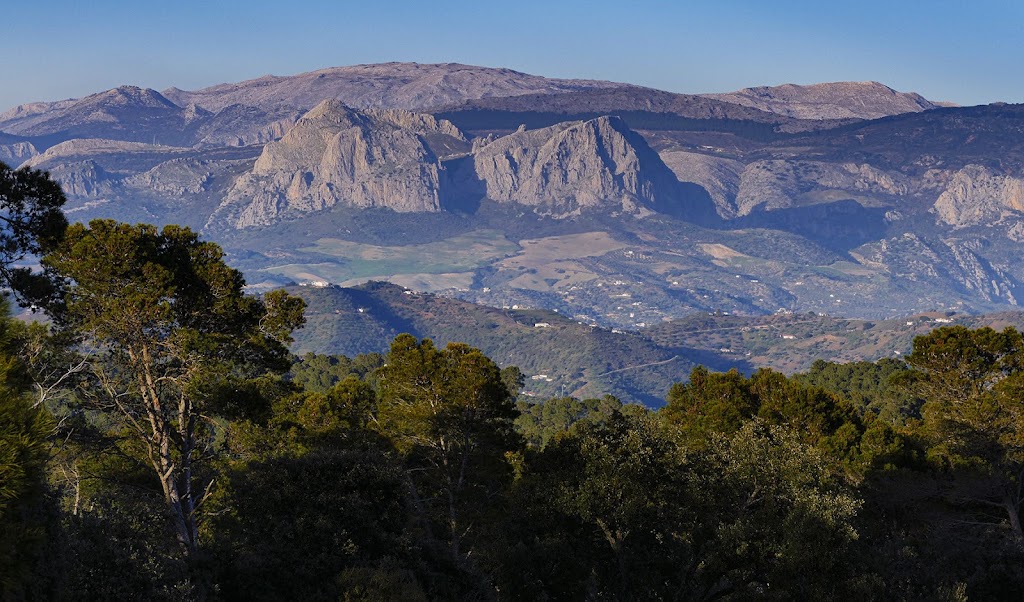 Pico Viento