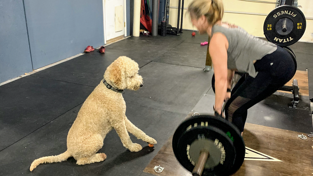  Vigorate Training & Fitness