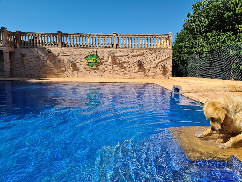 Residencia Canina ecoCan