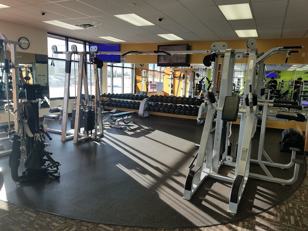  Anytime Fitness