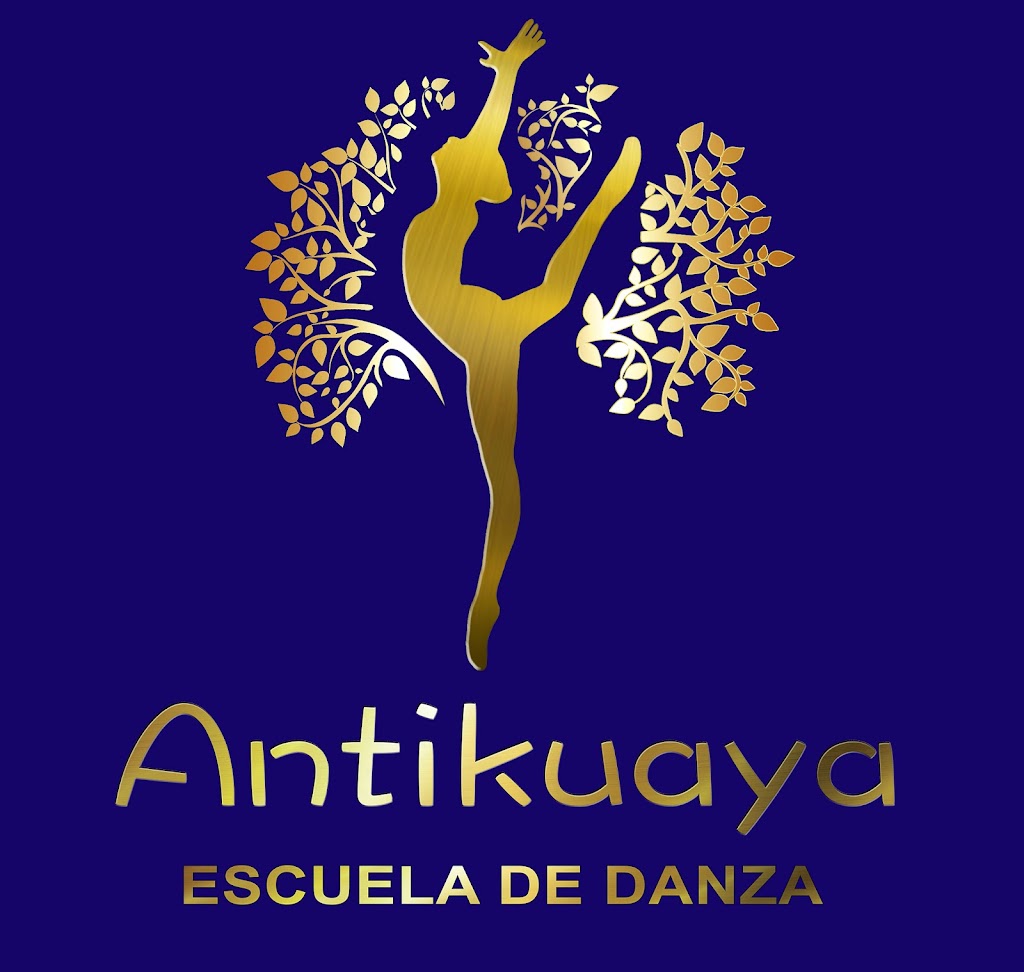 Escuela de Danza Antikuaya — Del propietario