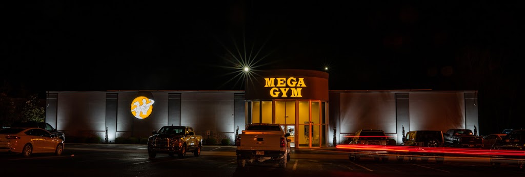  Mega Gym Inc