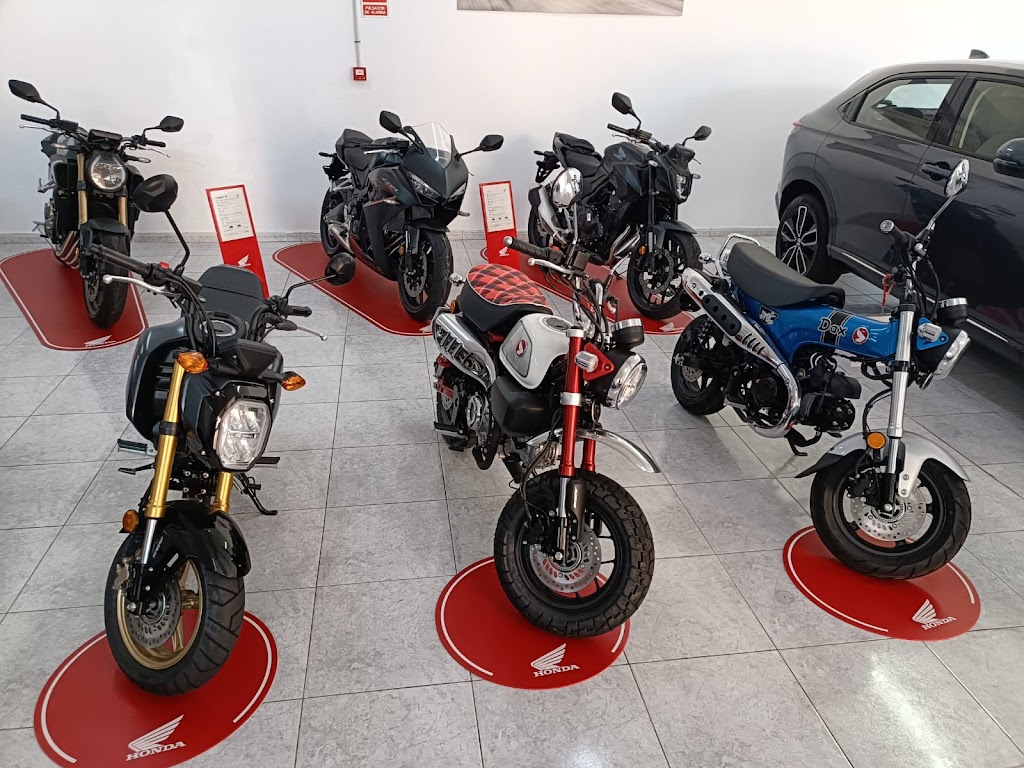 Honda La Palma — Mas recientes