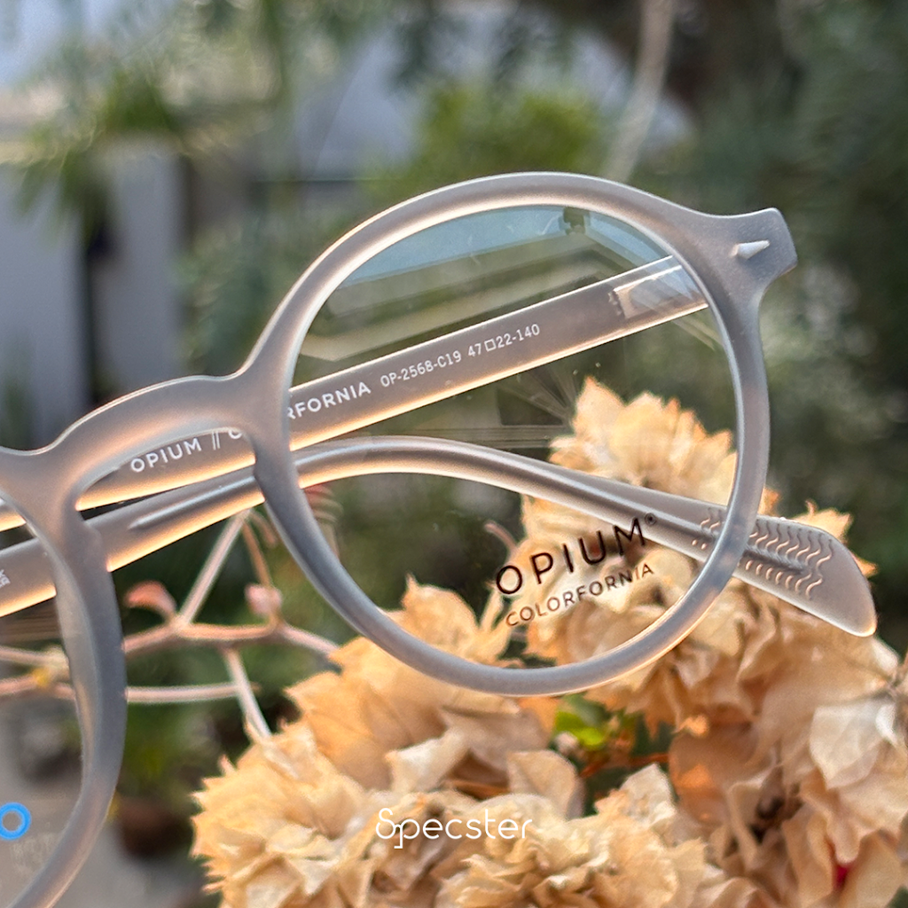 Specster Optical Store