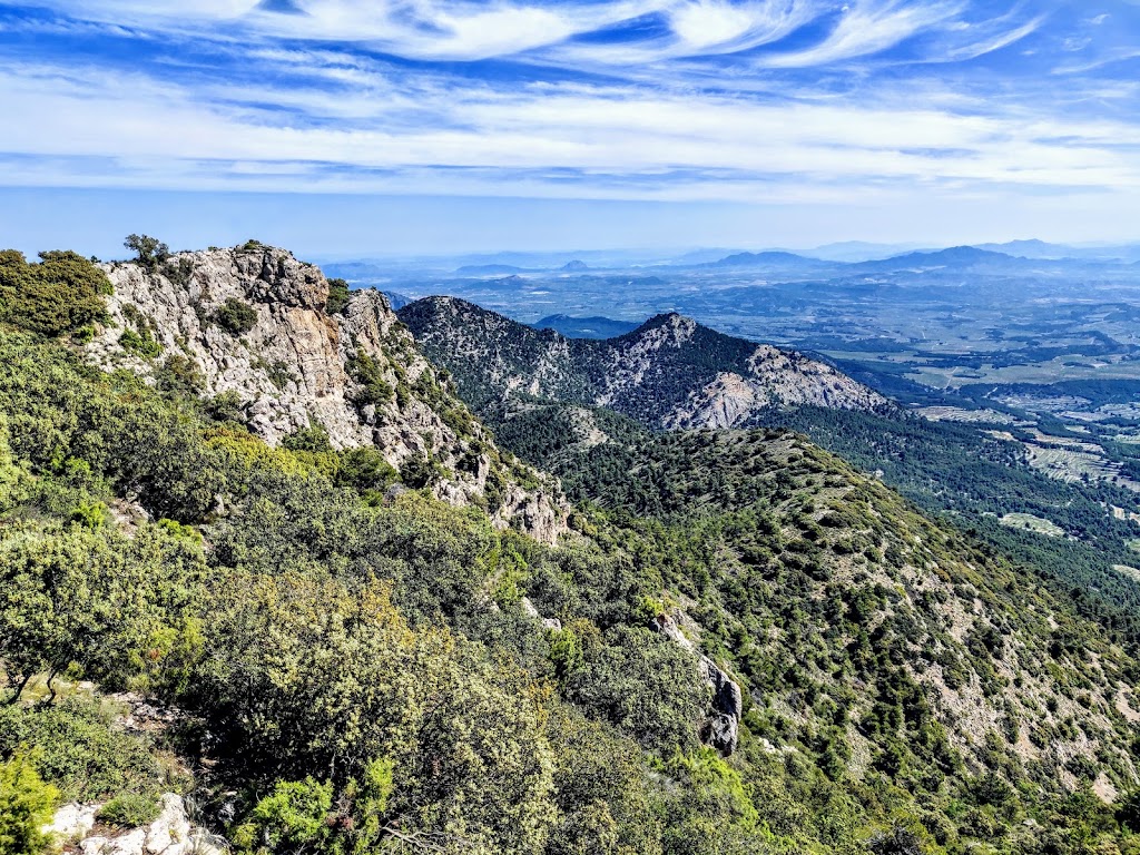 Pico De La Selva