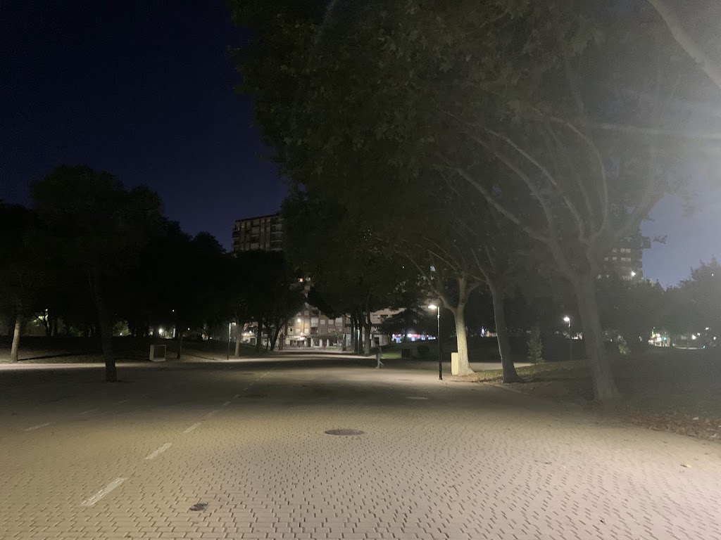 Endesa X Charging Station