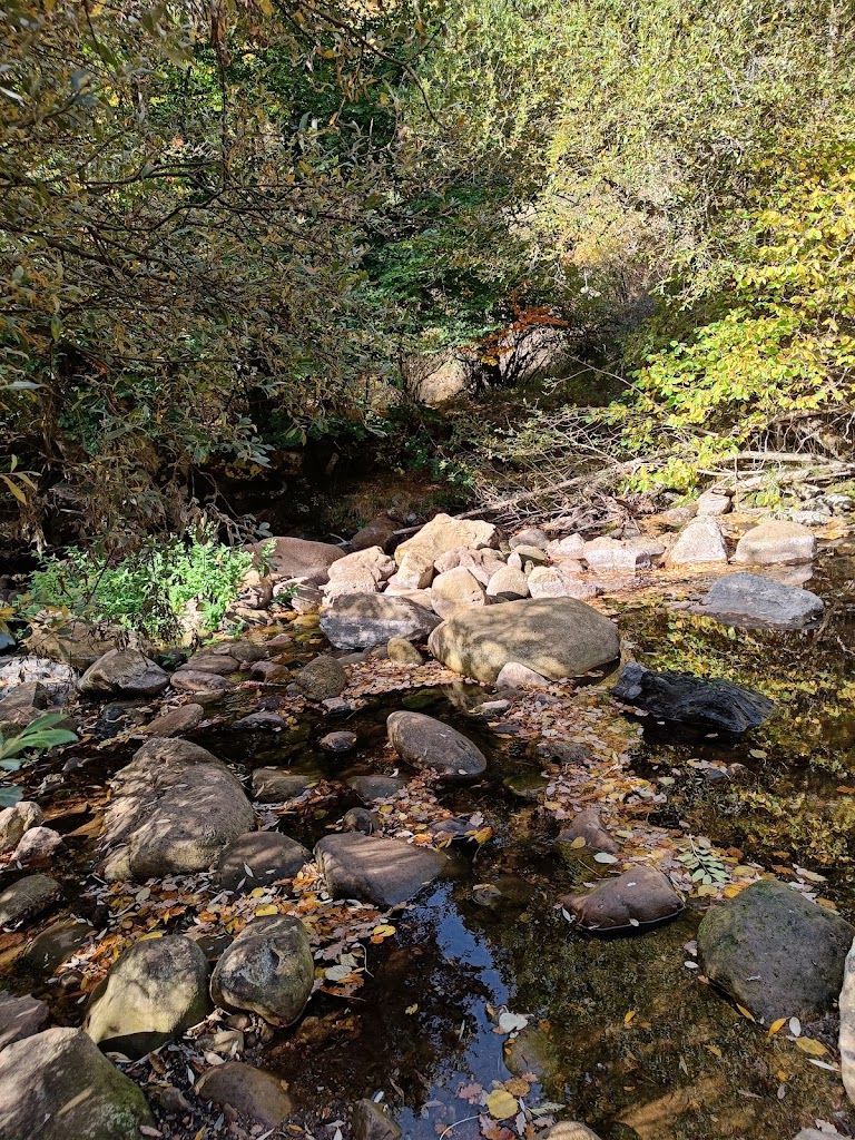 Senda La Pedrosa