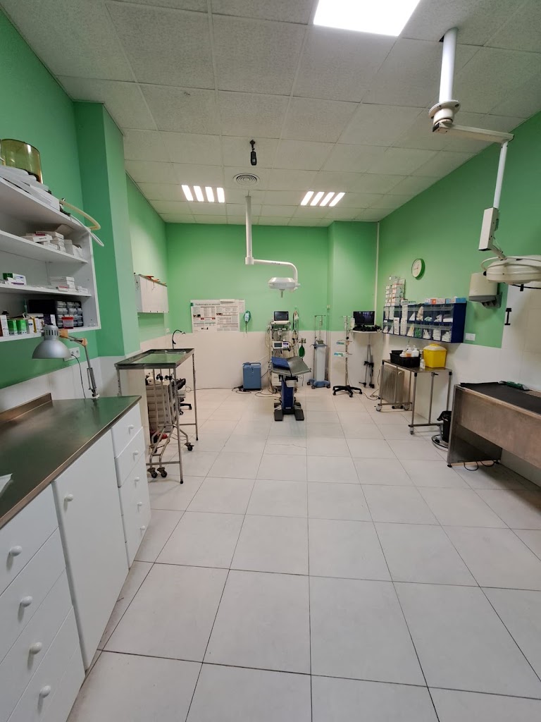 Clinica Veterinaria SUCROVET 961711922 — Del propietario