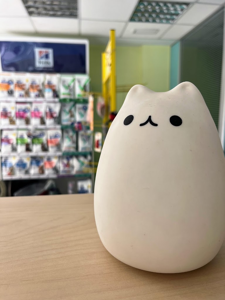 Clinica Veterinaria Paterna