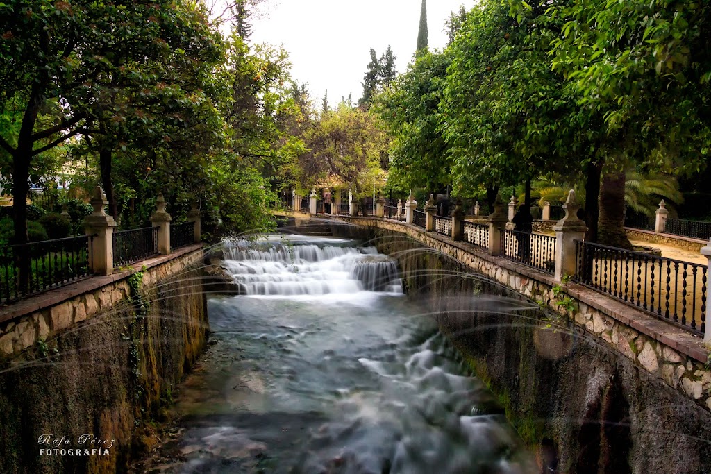 Fuente del Rio