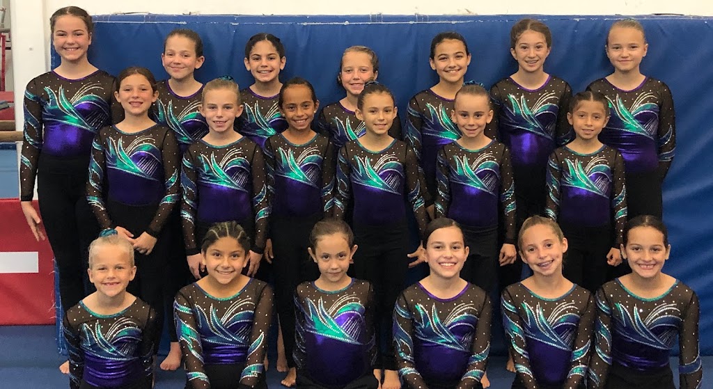  Academy of Gymnastics