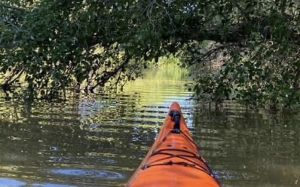 Embarcadero municipal