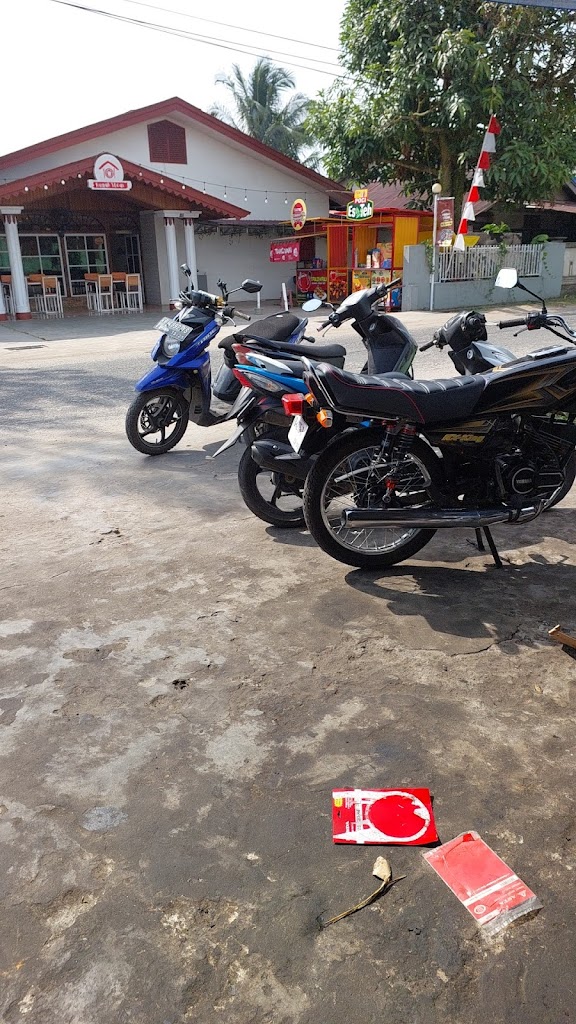 LIM.MOTOR