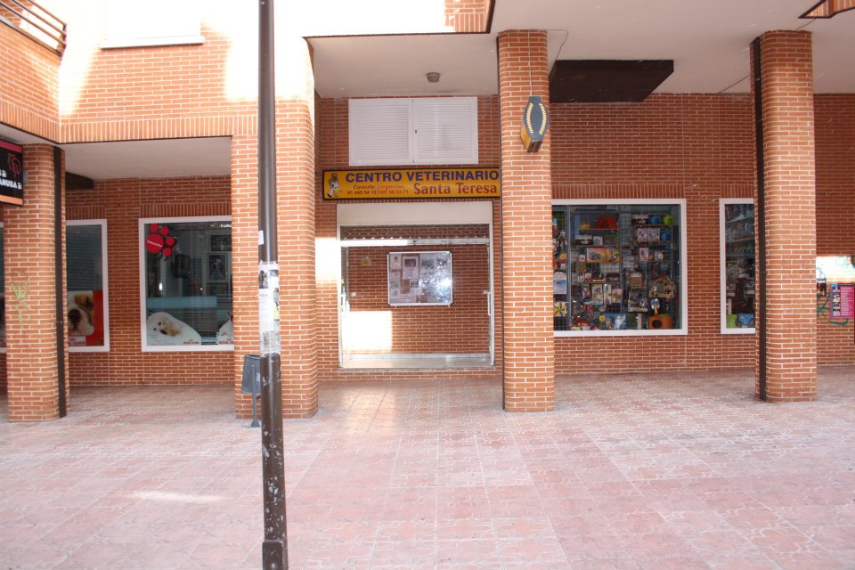 Medivet Santa Teresa