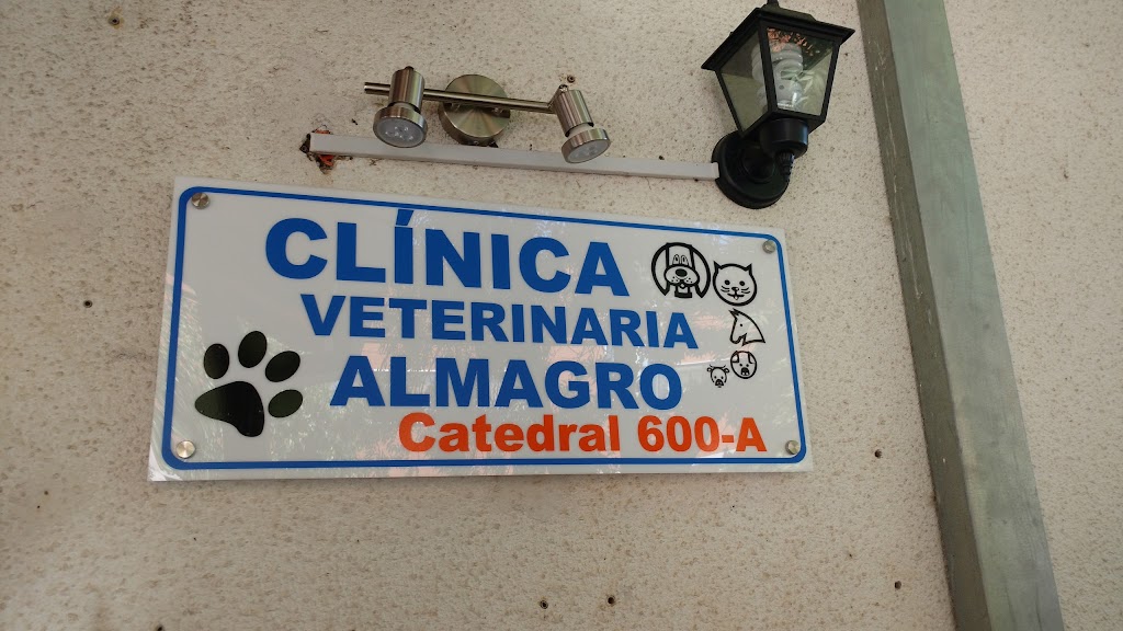 Clinica Veterinaria Almagro Atencion Medica en Cauquenes