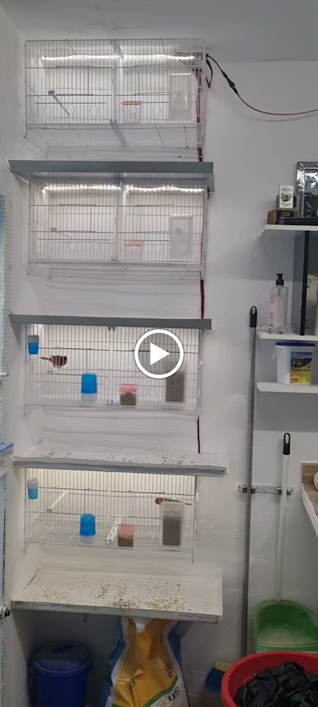 PADEL BAZA — Videos