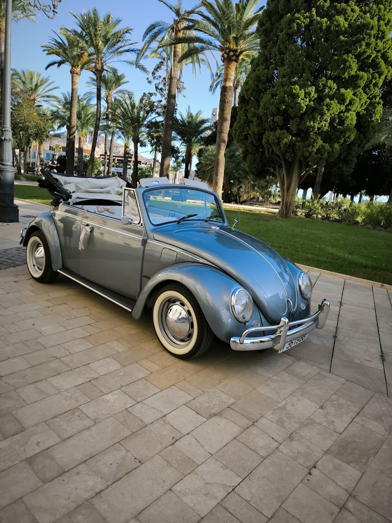 BELLAS CELEBRACIONES / BC TOY'S JUGUETERIA