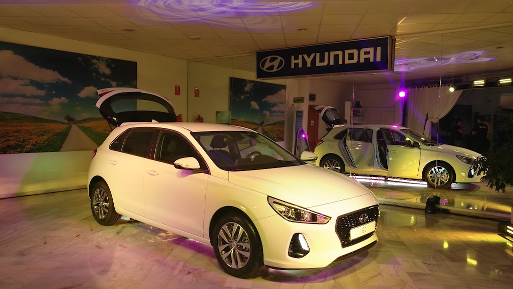 Hyundai Permotor Algeciras S L — Todas