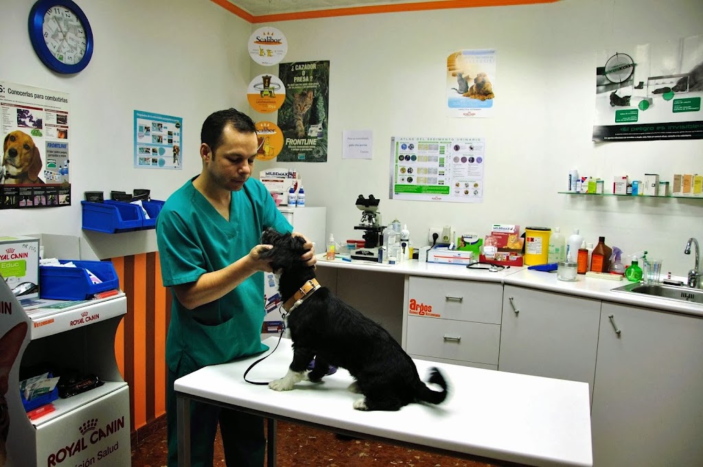 Clinica Veterinaria Argos — Del propietario