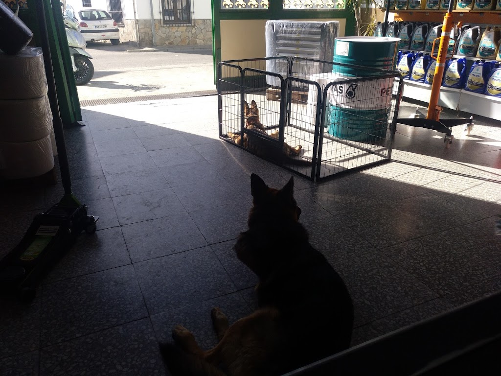 Recambios Tecnisur Motril