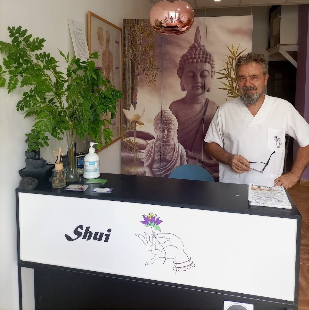 Shui centro de acupuntura y terapias naturales