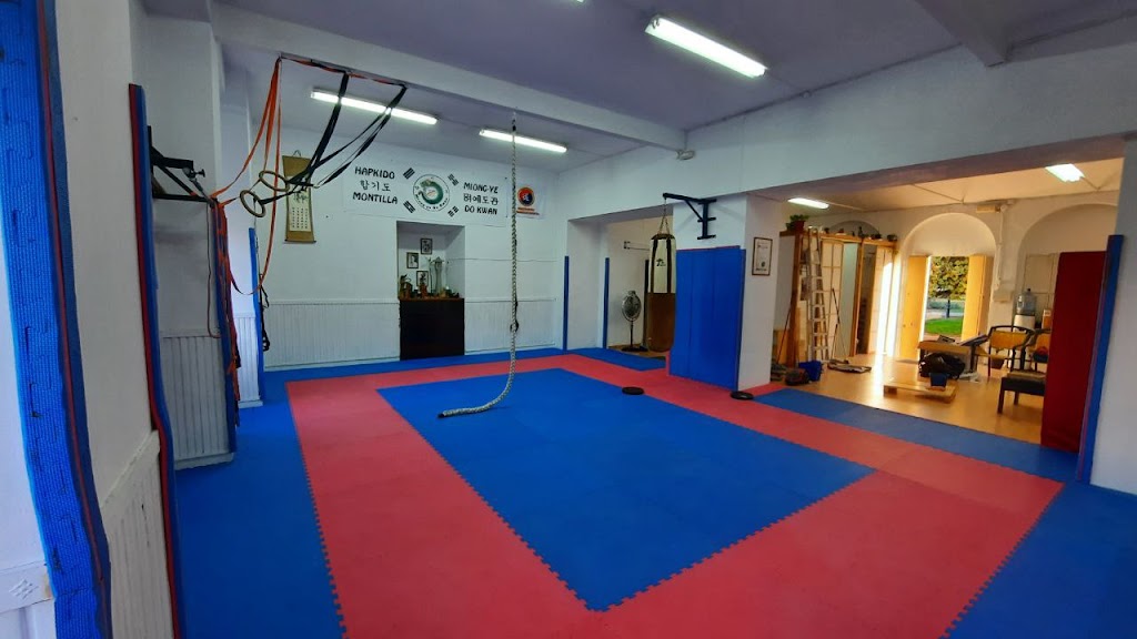 Hapkido Montilla