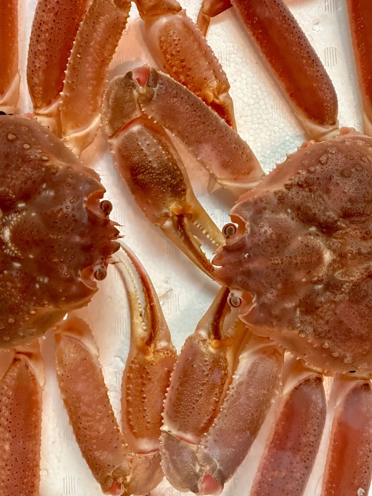 攤 台灣 TUA 的照片