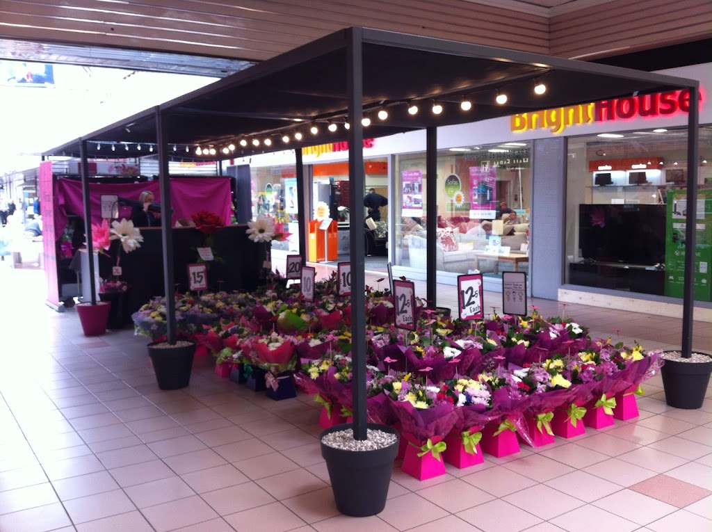 Wirral Flower Market